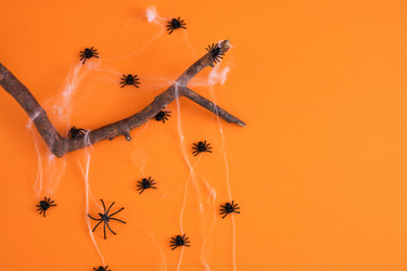 Similar image 21101443