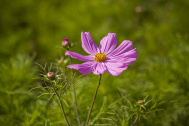 Similar image 21094959