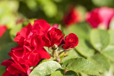 Similar image 21094963