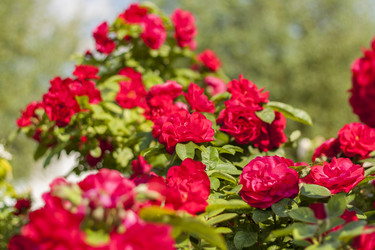 Similar image 21094969