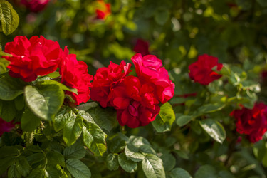 Similar image 21094971