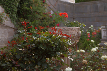 Similar image 21083780