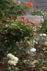 Similar image 21083781