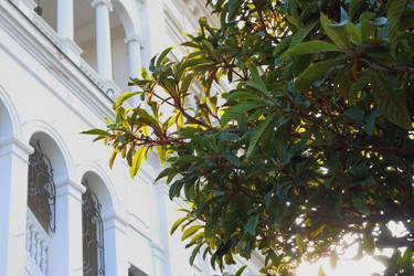 Similar image 21083782