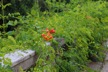 Similar image 21083809