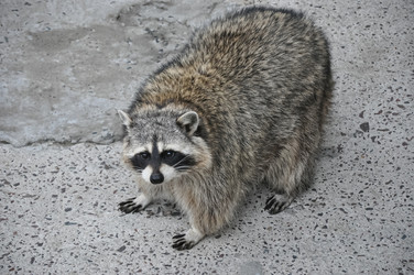 Similar image 21083222