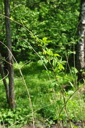 Similar image 21079625