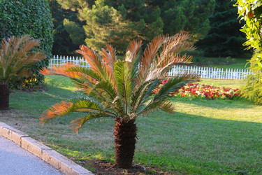 Similar image 21112408