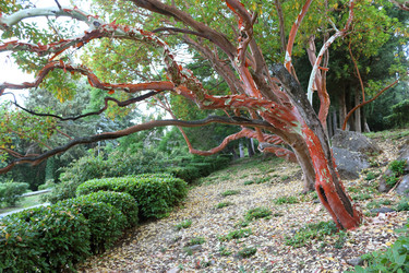 Similar image 21083592