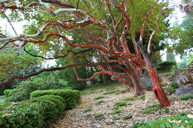 Similar image 21083593