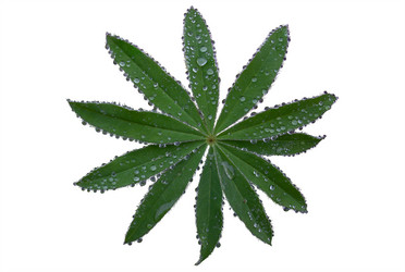 Similar image 21085452