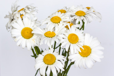 Similar image 21094990