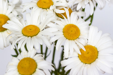 Similar image 21094992