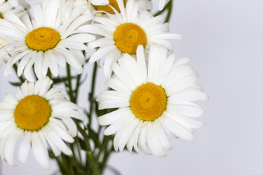 Similar image 21094993