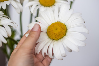 Similar image 21094994