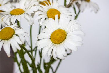 Similar image 21094995