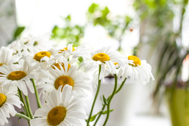 Similar image 21095006