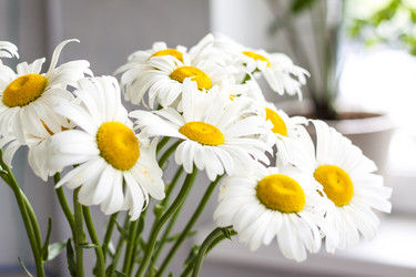 Similar image 21095008