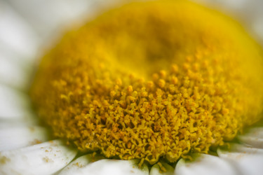 Similar image 21095013