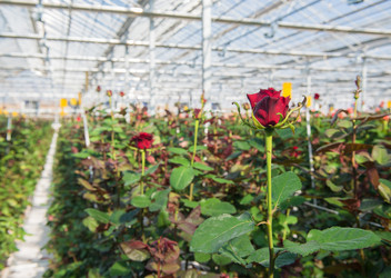 Similar image 21113005