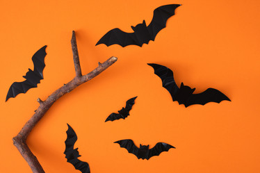 Similar image 21111763