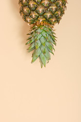 Similar image 21111771