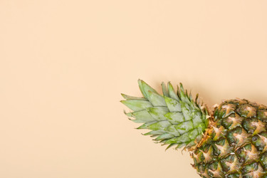 Similar image 21112046