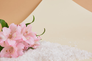 Similar image 21109933