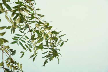 Similar image 21110512