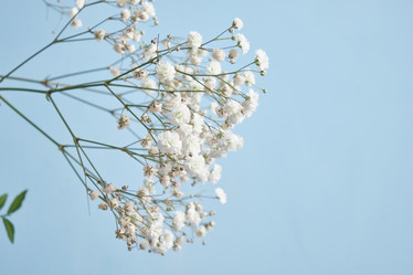 Similar image 21110513