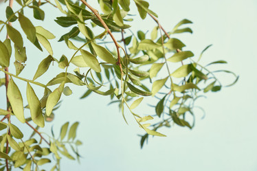 Similar image 21110515