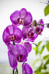 Similar image 21092143