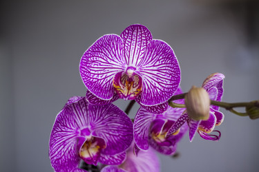 Similar image 21092148