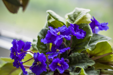 Similar image 21092150