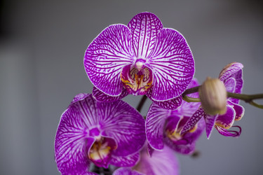 Similar image 21092152