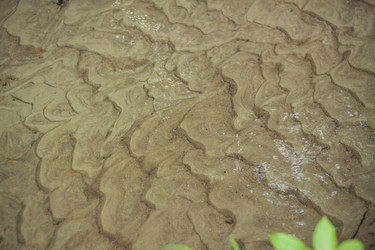 Similar image 21092154