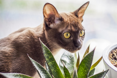 Similar image 21092155