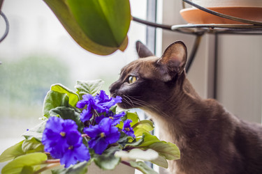 Similar image 21092158