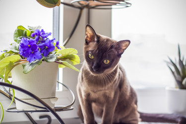 Similar image 21092166