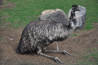 Similar image 21079628