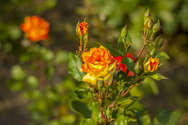 Similar image 21092185