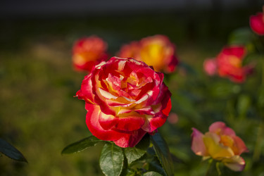 Similar image 21092186