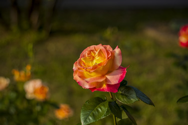 Similar image 21092188