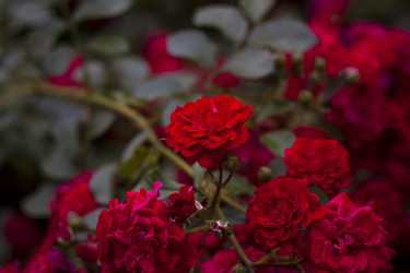 Similar image 21092189