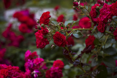 Similar image 21092191