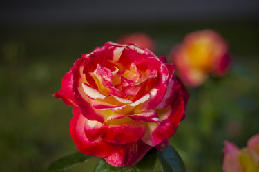 Similar image 21092193