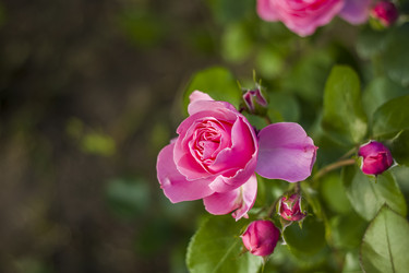 Similar image 21092196