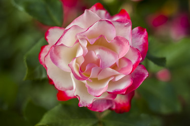 Similar image 21092204