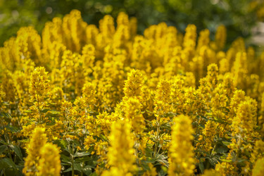 Similar image 21090612