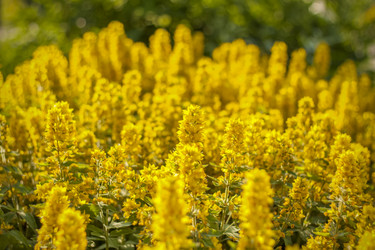 Similar image 21090614